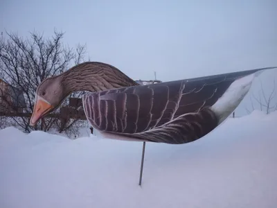 Профиль кормящегося гуся Hunting Birdland купить в Украине | «Релоадинг»