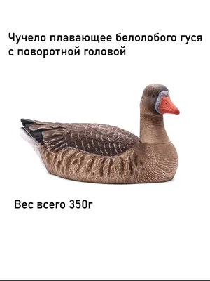 Деревенские гуси