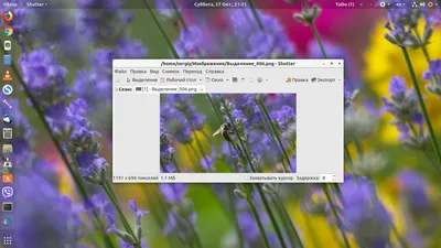 Программы для скриншотов Linux - Losst