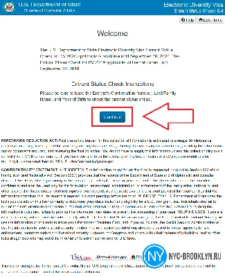 Как проверить результаты Грин Карты в DV-лотерее | NYC-Brooklyn.ru - Визы в  США