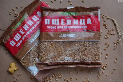 Пшеница для проращивания Здоровка Зерно - «Пшеница - птичья еда, которая по  вкусу людям» | отзывы