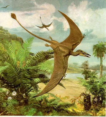 Птеродактиль - летающий динозавр