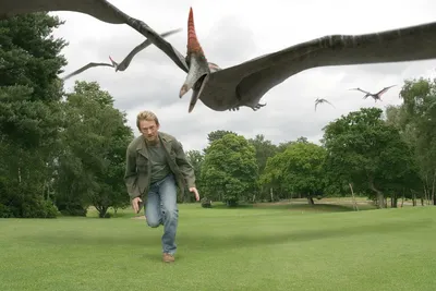 Птеродактиль: Развеиваем мифы из кино. «Гигантский летающий ящер» на самом  деле пуська размером с ворону | Пикабу
