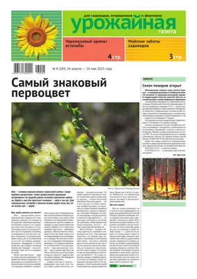Harvest Newspaper April, 24 - May, 14 by Урожайная газета - Issuu
