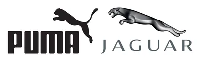 Jaguar goes for Puma - Chiever