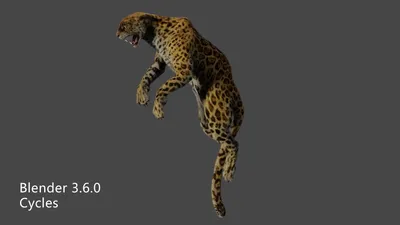 Oluso: Jaguar, leopard or puma? : r/farcry