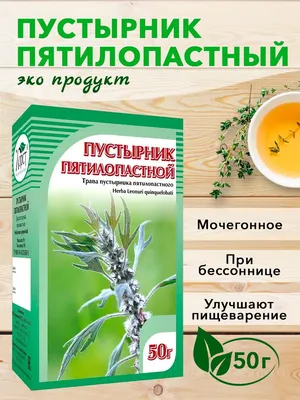 Пустырник пятилопастный, травяной сбор, 50 гр. ХОРСТ 12652126 купить в  интернет-магазине Wildberries