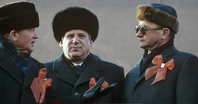 Пыжики для политбюро: из чьей шкуры делали знаменитые зимние шапки в СССР