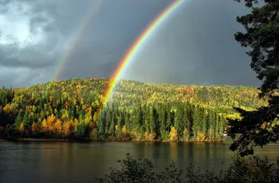 Радуга в лесу - фото и картинки: 32 штук