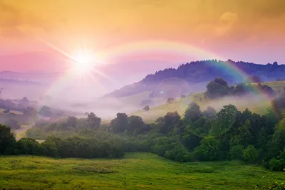 Фото радуги Природа Небо деревьев