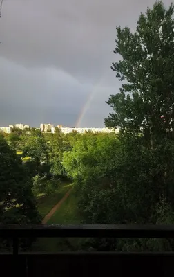 Шикарная двойная радуга над Петербургом восхитила горожан – фото.. Metro