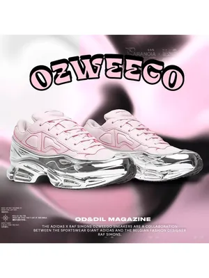 Adidas RAF SIMONS OZWEEGO 2 — информирует Brooklynstore | Блог