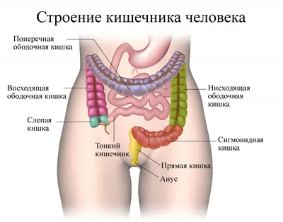 Колоректальный рак: симптомы, признаки, лечение, прогно