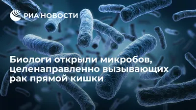 Биологи открыли микробов, целенаправленно вызывающих рак прямой кишки - РИА  Новости, 14.07.2017