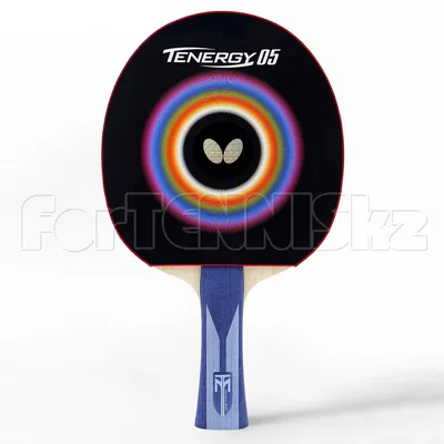 Композитная ракетка для настольного тенниса Cornilleau Tacteo 50 (серый)  купить