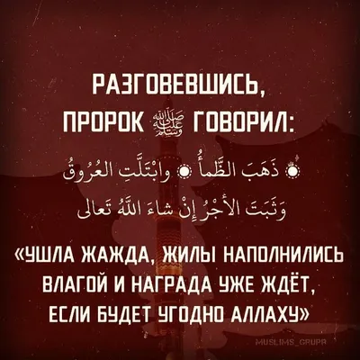 Месяц Рамадан: как держат строгий пост мусульмане в России | Новости России  - Новости страны | Известия | 12.04.2021