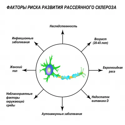 Рассеянный склероз - причины появления, симптомы заболевания, диагностика и  способы лечения