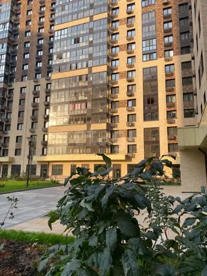 Купить трехкомнатную квартиру у метро Рассказовка в Москве - вторичное  жилье недорого: цена 3-комнатной квартиры на вторичном рынке недвижимости