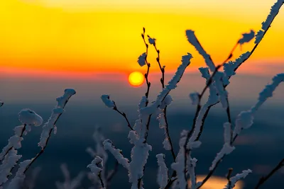 Снежный рассвет 27 марта и восход оранжевого месяца | Пикабу
