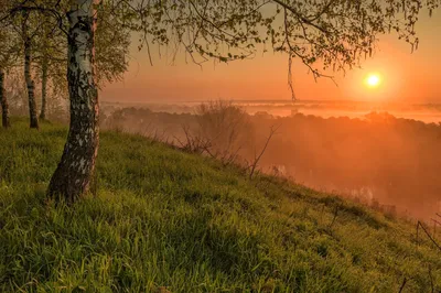 В золоте рассвета. Photographer Yuliya Lapteva