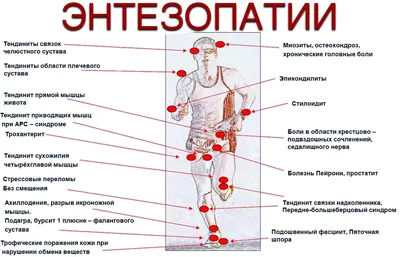 Разминка до и после бега: в чем ее роль, рассмотрим основные моменты