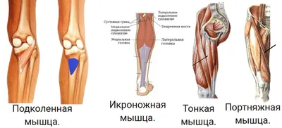 Растяжка икроножных мышц в положении стоя - Каталог упражнений -  Бодибилдинг и фитнес-бикини