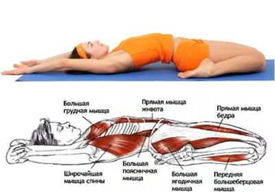 Зачем нужна растяжка после тренировки? И как с ее помощью улучшить  показатели? Рассказывает эксперт | SportChic | Дзен