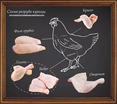 Как правильно разделывать курицу | Мясная кухня | Дзен