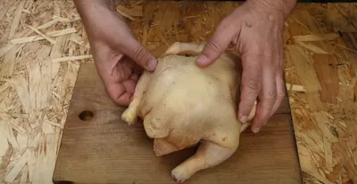 Как разделать курицу по частям) #семьяихобби #разделкакурицы | TikTok