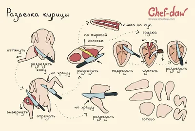 Разделка курицы