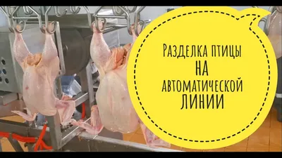 ОСНОВЫ: разделка КУРИЦЫ. Просто и ПОНЯТНО - YouTube