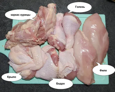 Разделка курицы для \"молодого\" кулинара или как сделать заготовку основы на  5-6 блюд. | Кулинарный канал Мокошь | Дзен