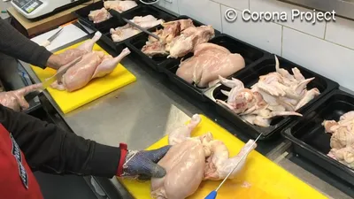 Разделка курицы ножом Cold Steel Spartan — Видео | ВКонтакте