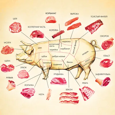 Откуда Мясо на Прилавках в Магазинах? / Разделка Туши Свиньи от Начала до  Конца / Butchering a Pig - YouTube