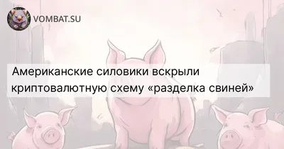 Как определить качество мяса: порода животного, возраст, корм, выдержка,  убой и разделка животного - Афиша Daily