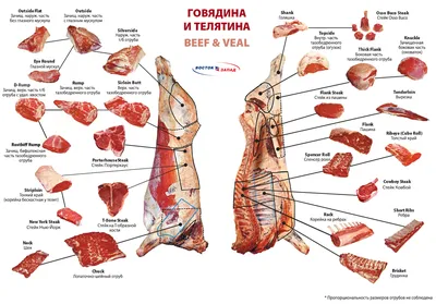 Организация технологического процесса на предприятиях убоя и первичной  переработки свиней - Мясной эксперт