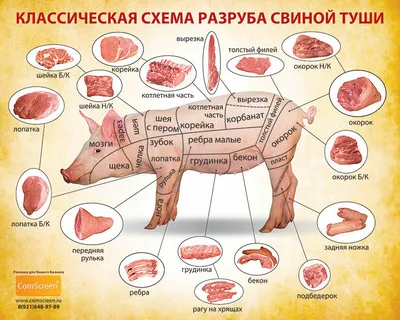 Как правильно разделывать поросёнка | MKM канал про всё. | Дзен