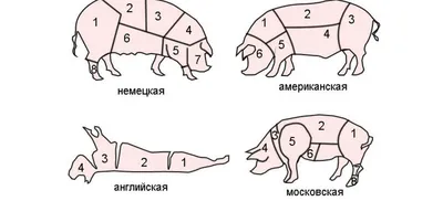 Разделка туши свиньи своими руками | Роарди | Дзен