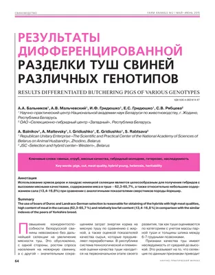 Продам: бАРАНИНА вся разделка,туши,субпрод,скл М в Москве