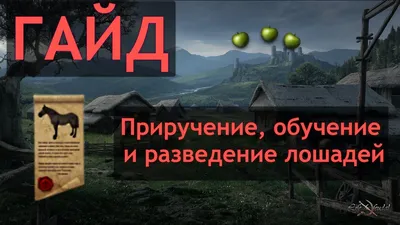 Замечательное возвращение лошади Пржевальского (Smithsonian, США) |  07.10.2022, ИноСМИ