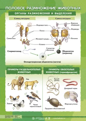 Зачем таганрожцы смотрят за тем, как они \"ЭТО\" делают