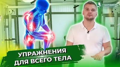5 упражнений при разрыве мениска коленного сустава - симптомы и лечение  травмы | КИНЕЗИТЕРАПИЯ - YouTube