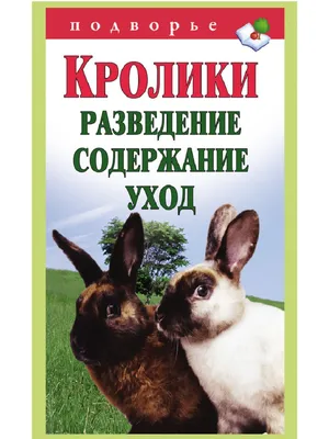 Разводим кроликов на участке: какую клетку выбрать, куда ее лучше поставить  и как создать кроликам условия для размножения?