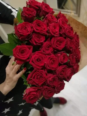 Живые розы в руках (78 фото) »