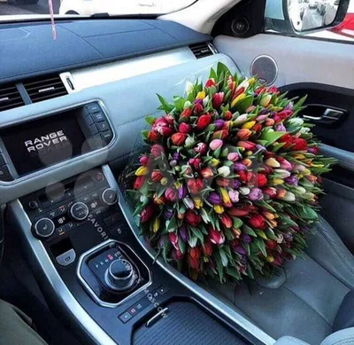 Тюльпаны в авто - 44 фото