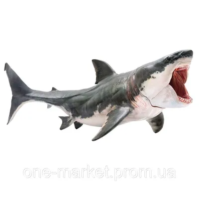 Купить Фигурка мегалодона PNSO Megalodon акула доисторическая, цена 1247.35  грн — Prom.ua (ID#1630217856)