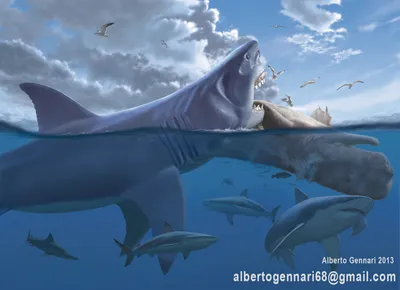 Мегалодон – Carcharodon megalodon – Рыбы – Динозавры