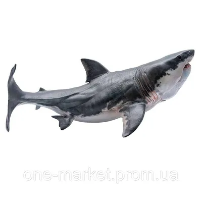 Фигурка Мегалодона PNSO Megalodon Акула Доисторическая — Купить Недорого на  Bigl.ua (1630217856)