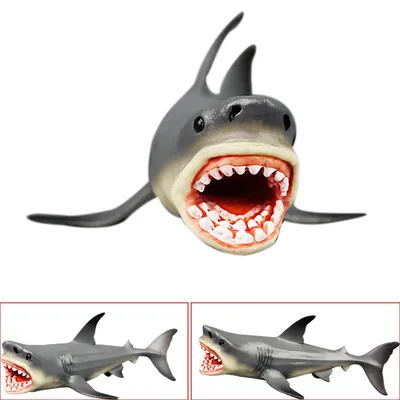 Мегалодон доисторического океана акула образования животных рисунок модели  дети игрушка подарок купить недорого — выгодные цены, бесплатная доставка,  реальные отзывы с фото — Joom