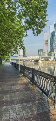 Обои Москва, Россия, город, небоскребы, река, дорога, деревья 1242x2688  iPhone 11 Pro/XS Max Изображение